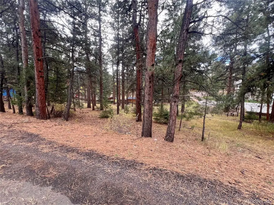 26698 De Berry Street, Conifer, CO 80433 - #2