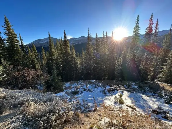 484 Carroll Lane, Breckenridge, CO 80424