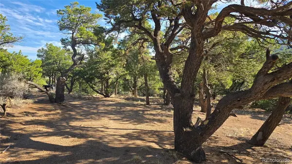 Lot 2232 Solaz Road, Fort Garland, CO 81133