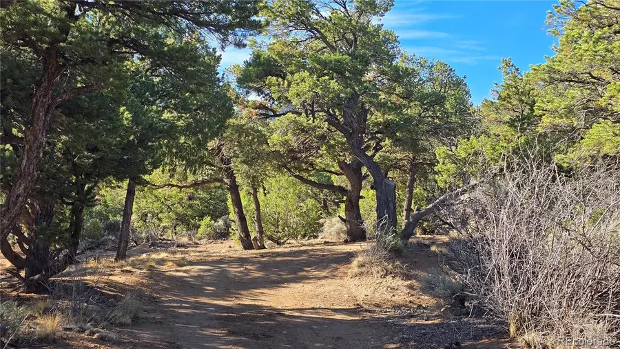 Lot 2232 Solaz Road, Fort Garland, CO 81133 - #2