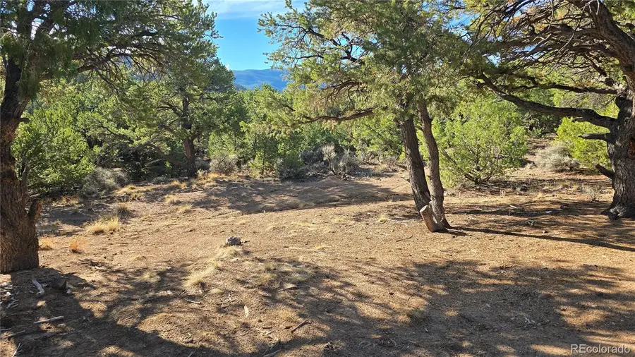 Lot 2232 Solaz Road, Fort Garland, CO 81133 - #3