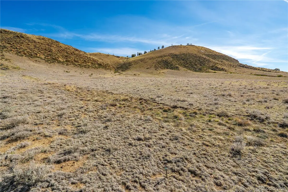 00 Willow Street, Hartsel, CO 80449 - #1