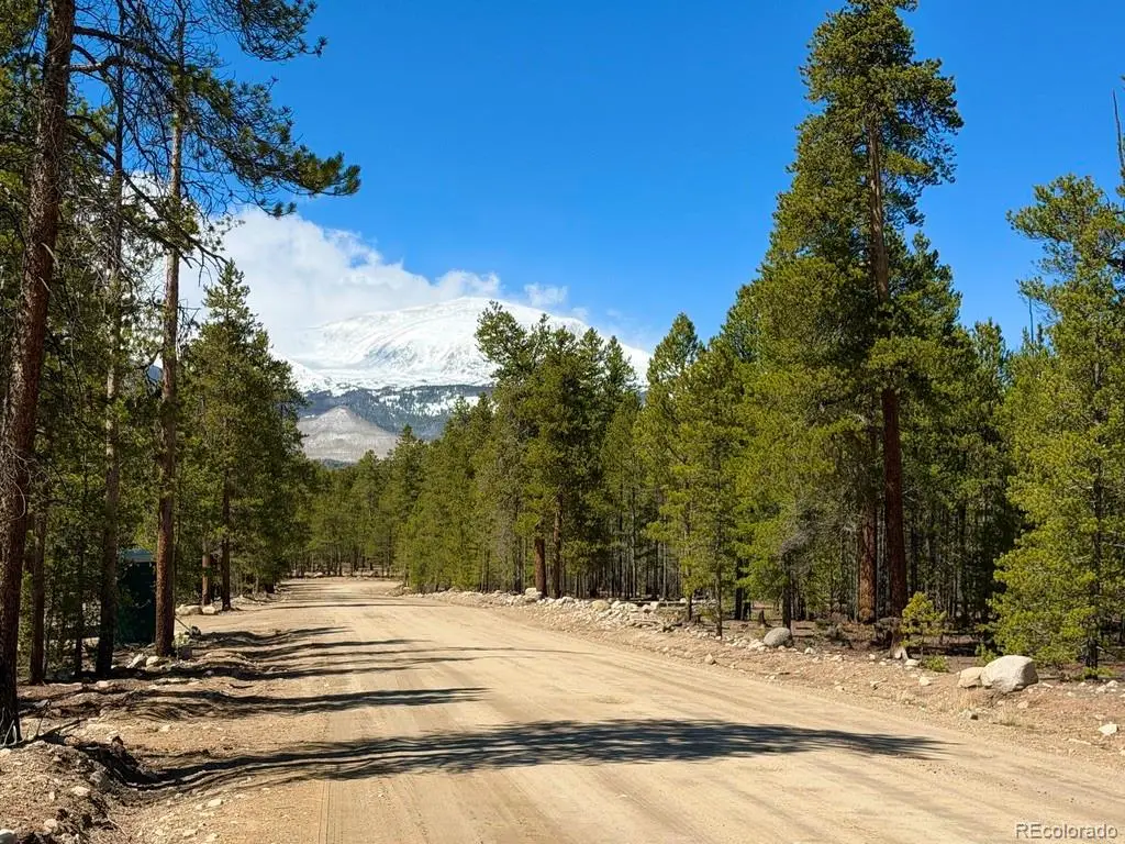 360 Peak View Drive, Leadville, CO 80461 - #1
