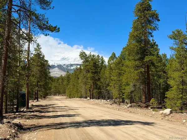 360 Peak View Drive, Leadville, CO 80461