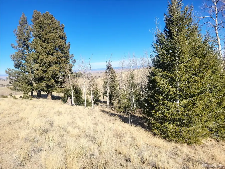 8802 Ranch Road, Hartsel, CO 80449 - #2