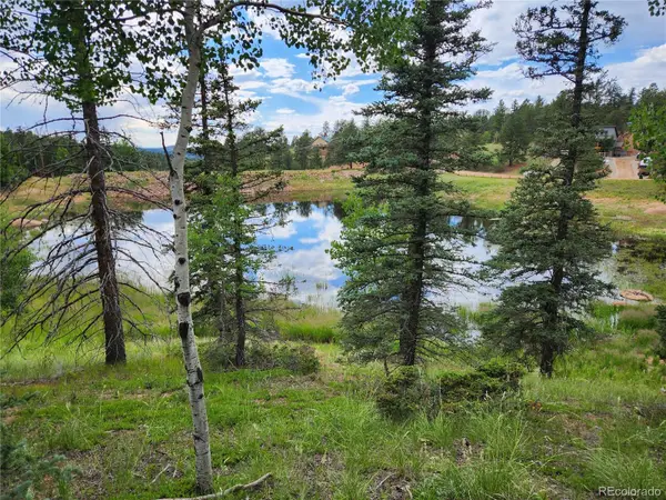 1076 Spring Valley Lane, Florissant, CO 80816