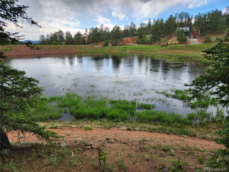 1076 Spring Valley Lane, Florissant, CO 80816 - #2