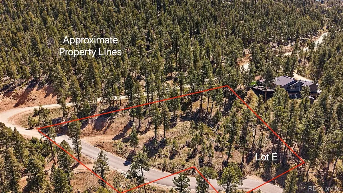 6875 Lynx Lair Road, Evergreen, CO 80439 - #1