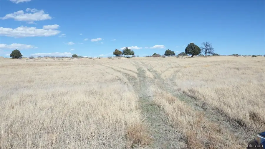 35584 Comanche Creek Road, Kiowa, CO 80117 - #2