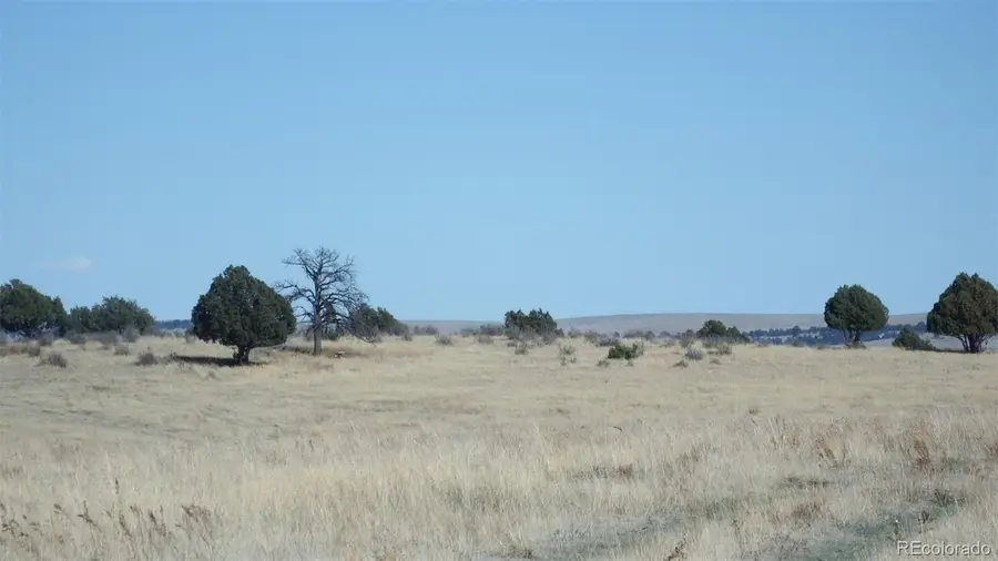 35584 Comanche Creek Road, Kiowa, CO 80117 - #3
