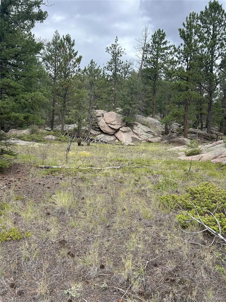 155 County Road 403, Florissant, CO 80816 - #2