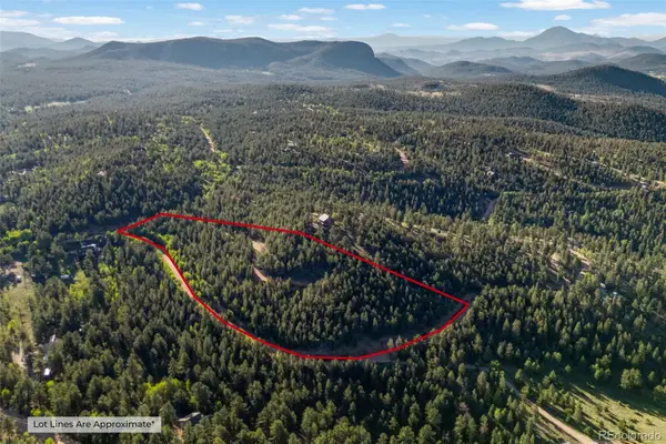 157 Saddle Horn Lane, Bailey, CO 80421