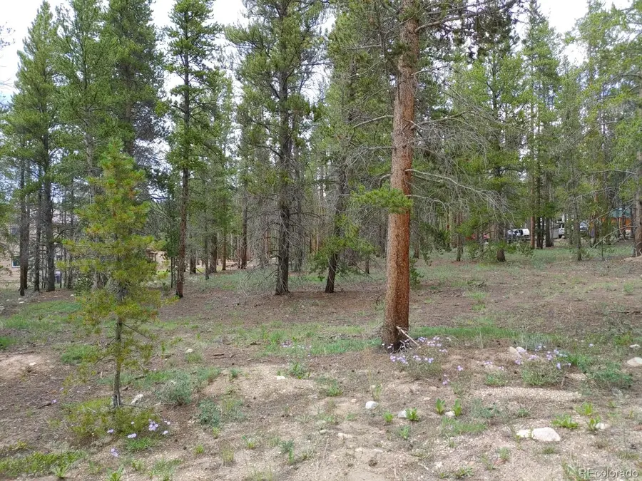 777 Topaz Street, Leadville, CO 80461 - #2