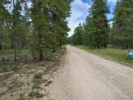 777 Topaz Street, Leadville, CO 80461 - #3