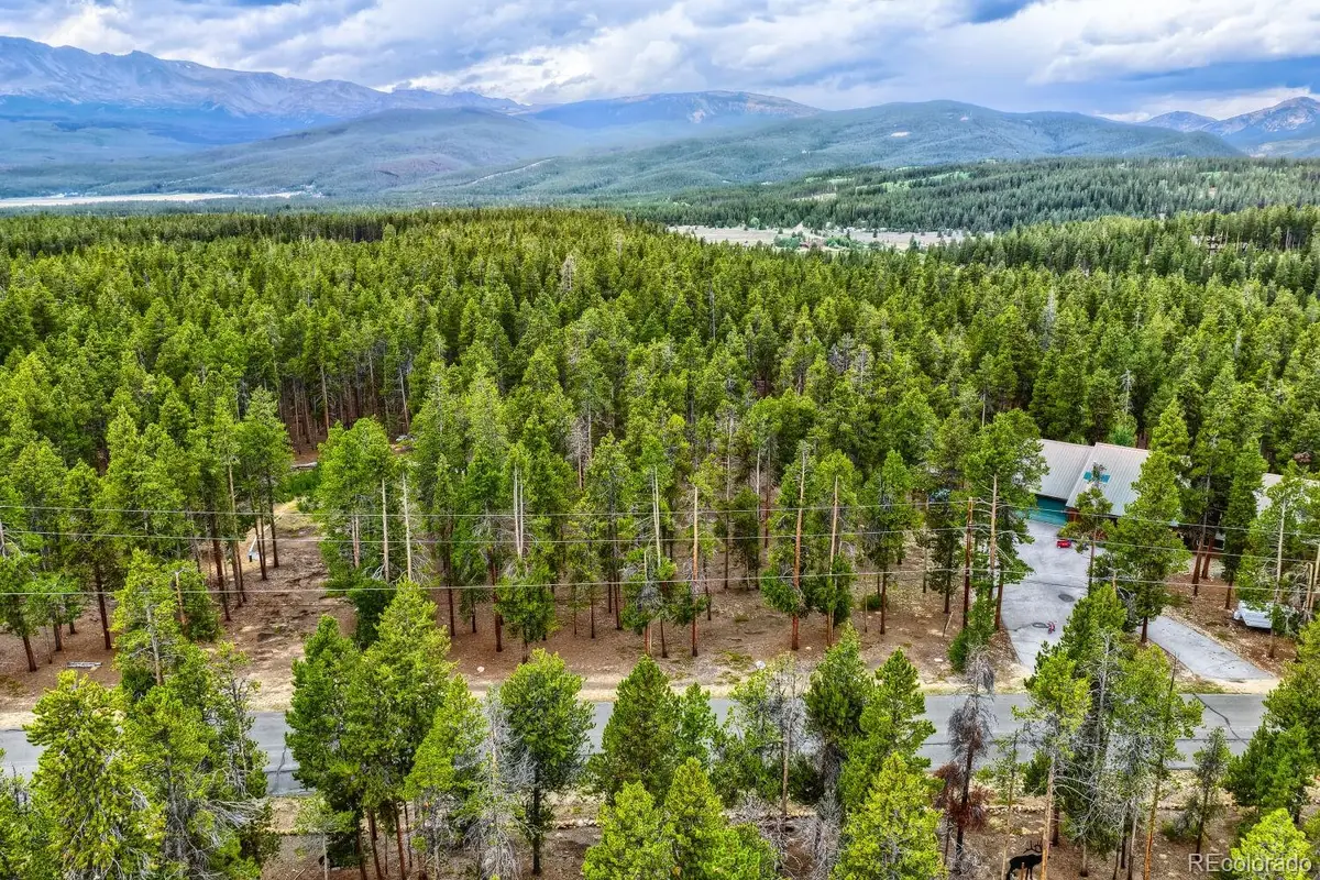 848 Baby Doe Drive, Leadville, CO 80461 - #1