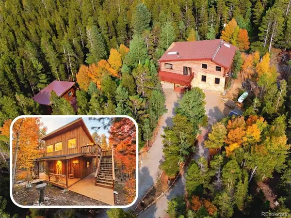 10 Lost Trail Road, Idaho Springs, CO 80452