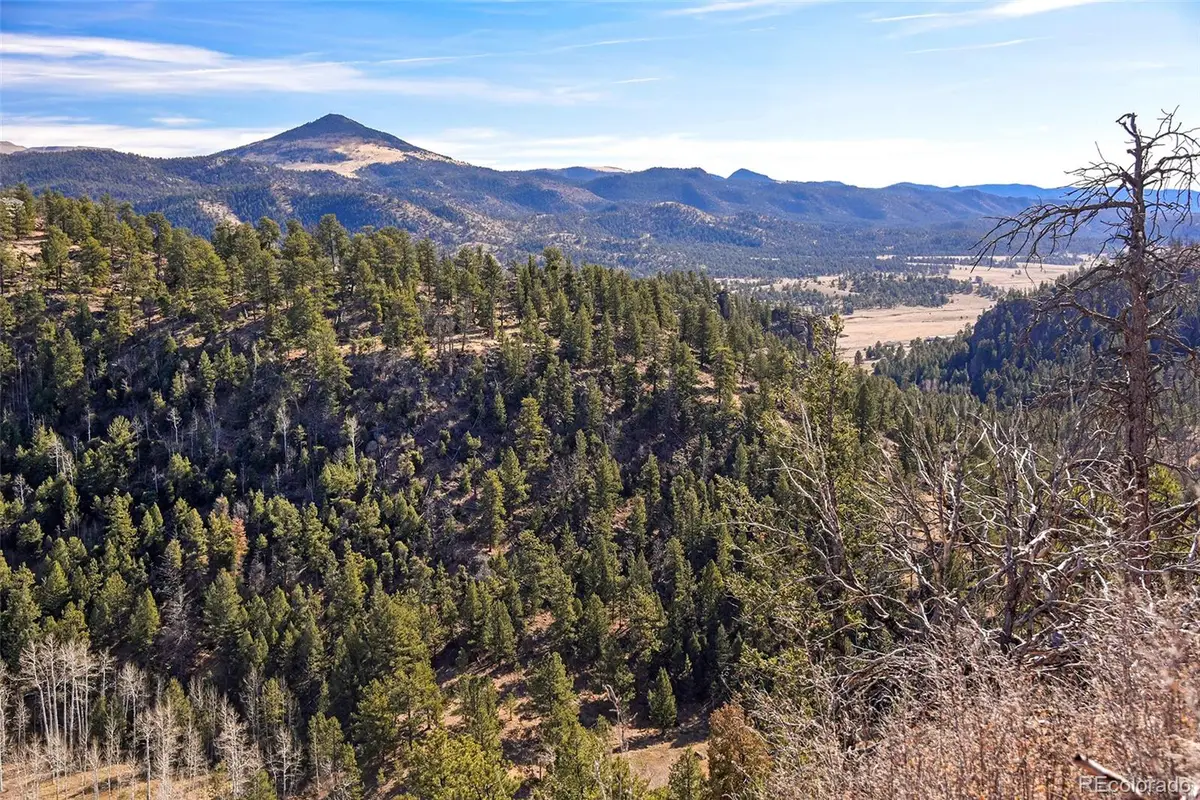 292 Chateau West Drive, Florissant, CO 80816 - Image #1