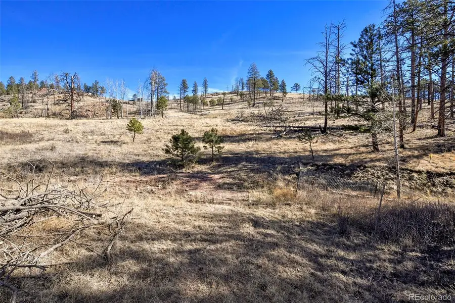 292 Chateau West Drive, Florissant, CO 80816 - Image #3