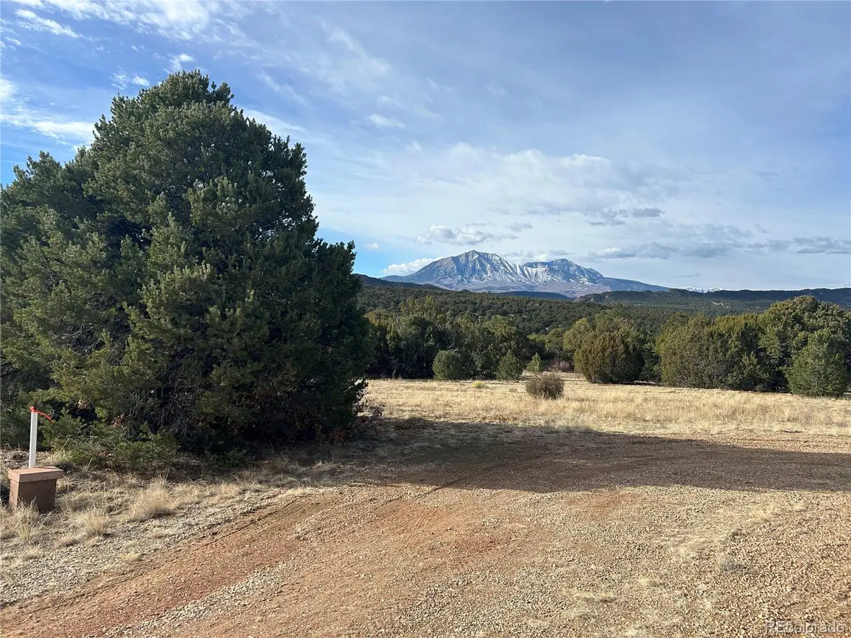 Lot 142a Silver Spurs Ranch, Walsenburg, CO 81089 - #1