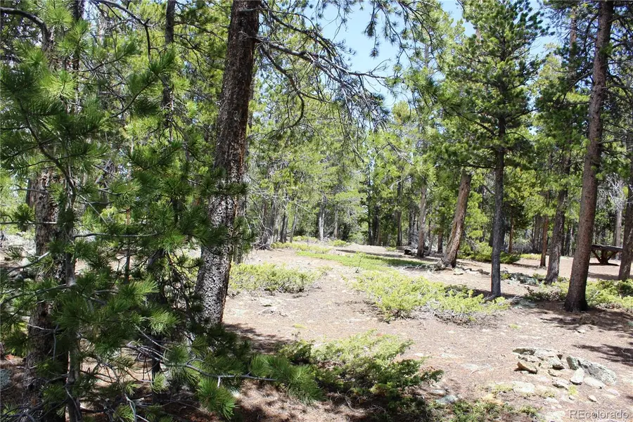 435 Aspen Road, Black Hawk, CO 80422 - #2