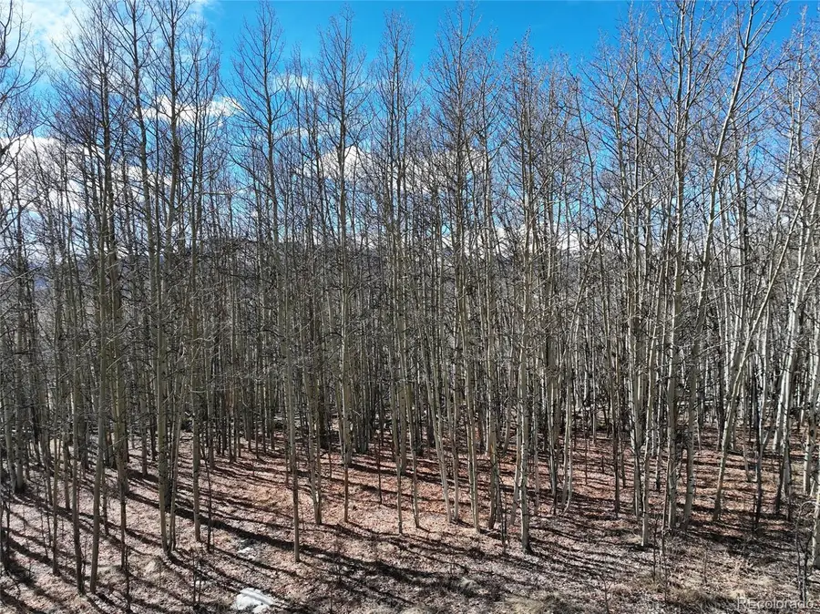 303 Glacier Peak View, Jefferson, CO 80456 - #2