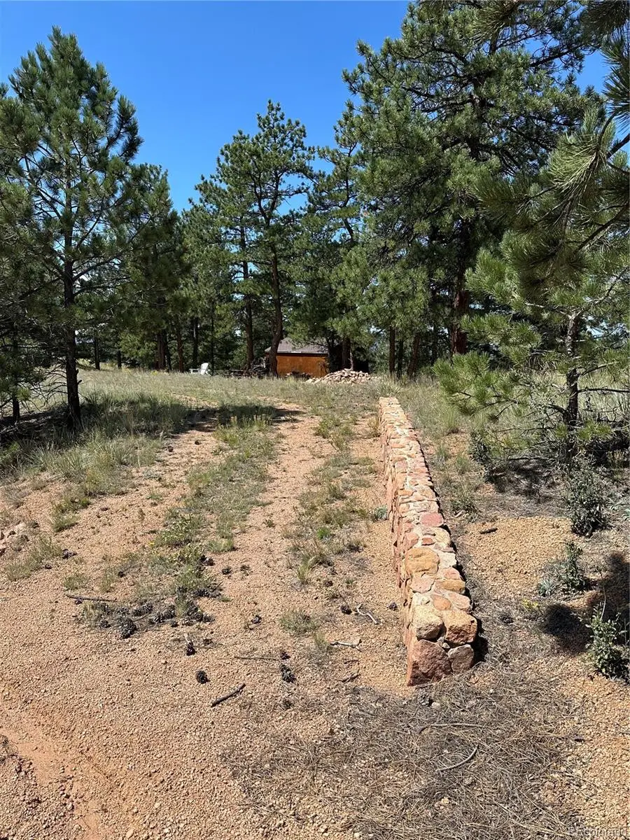 627 Navajo Trail, Florissant, CO 80816 - Image #2