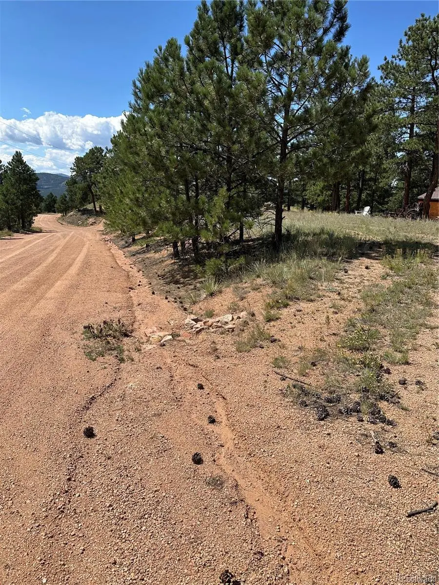 627 Navajo Trail, Florissant, CO 80816 - Image #3