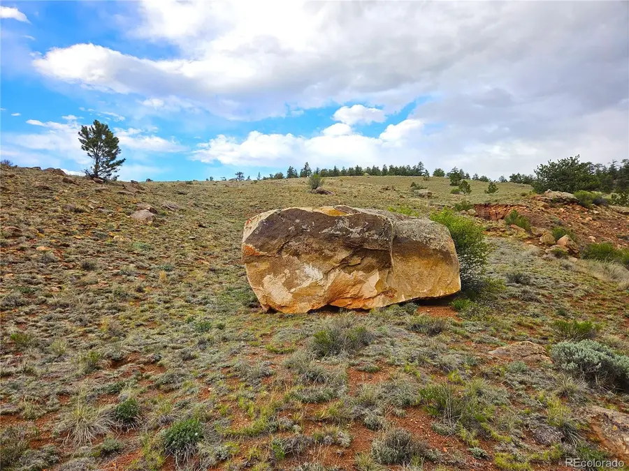 Fernando Trail, Hartsel, CO 80449 - #2