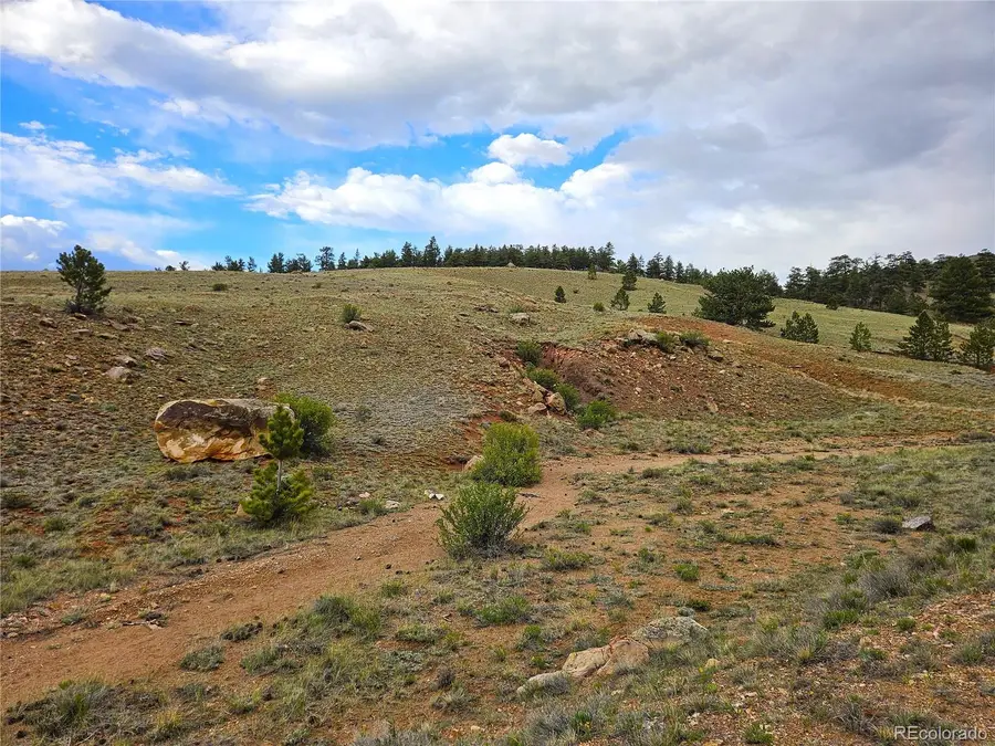 Fernando Trail, Hartsel, CO 80449 - #3
