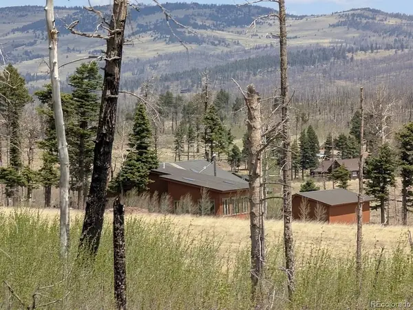 2084 Forbes Park Road, Fort Garland, CO 81133