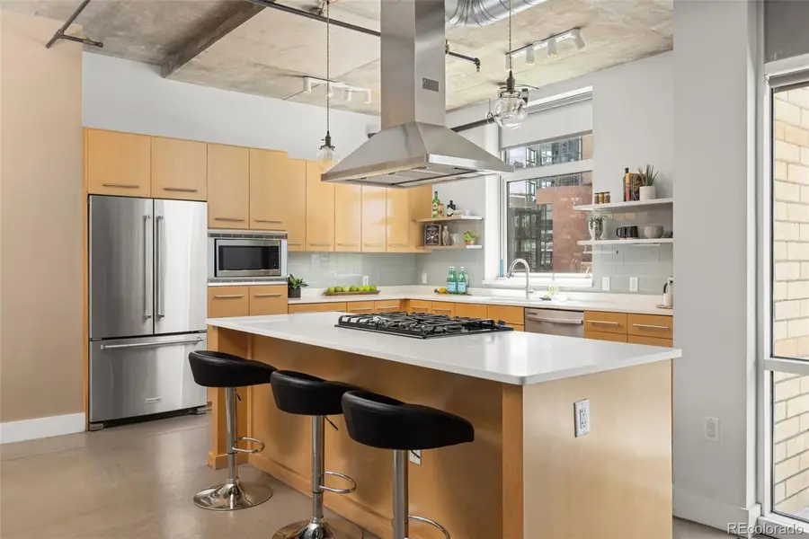 1610 Little Raven Street #306, Denver, CO 80202 - #2