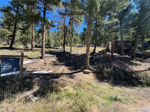 26460 Pleasant Park Road, Conifer, CO 80433