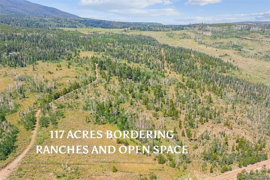 733 Spring Creek Ranch Road, Silverthorne, CO 80498 - #3