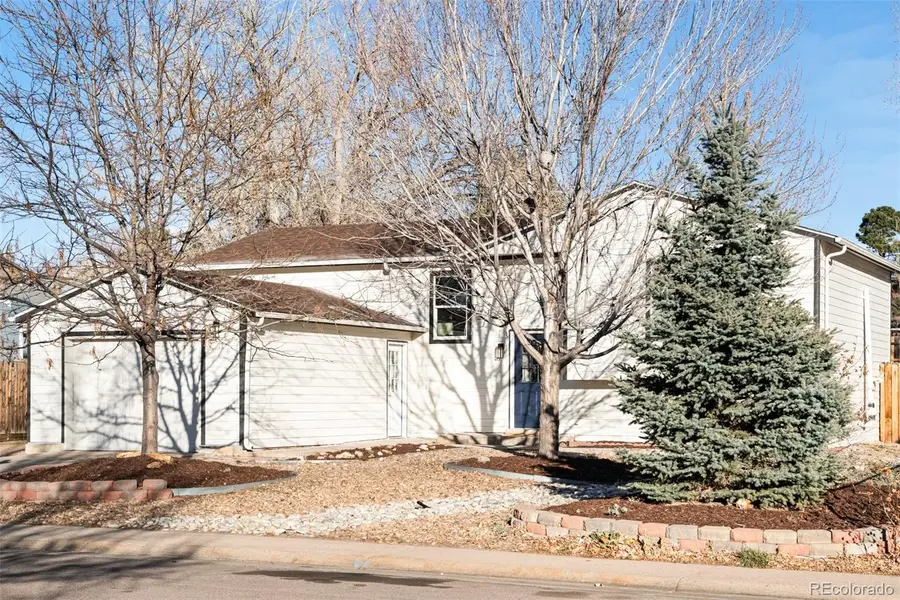 922 Park View Street, Castle Rock, CO 80104 - Image #3