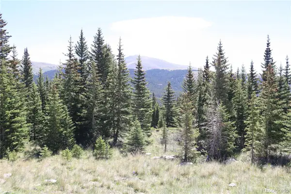 1480 Roberts Road, Fairplay, CO 80440