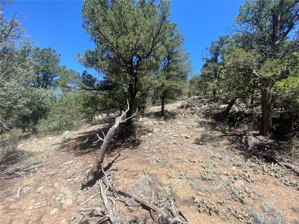 TR-142 17th Trail, Cotopaxi, CO 81223