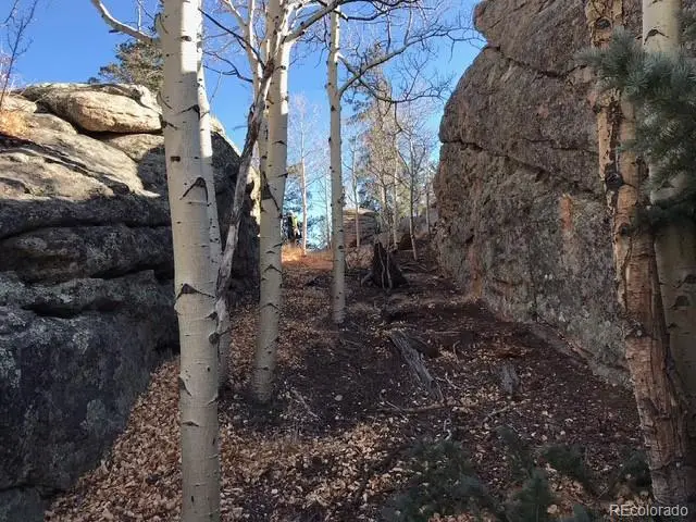 #2