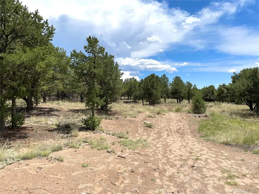 Tract 6 PHILLEO ANNEX Philleo Way, Crestone, CO 81131 - #2