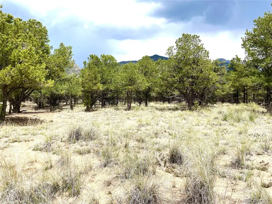 Tract 6 PHILLEO ANNEX Philleo Way, Crestone, CO 81131 - #3