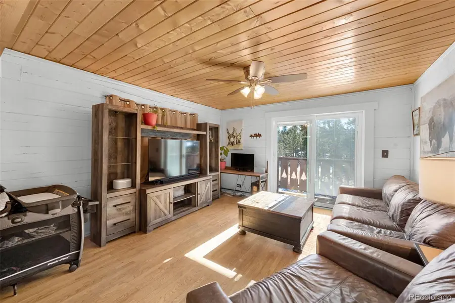 1276 Pinewood Road, Florissant, CO 80816 - #3