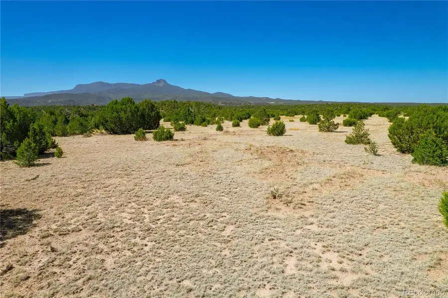 37300 Kunzite Road, Trinidad, CO 81082 - #3