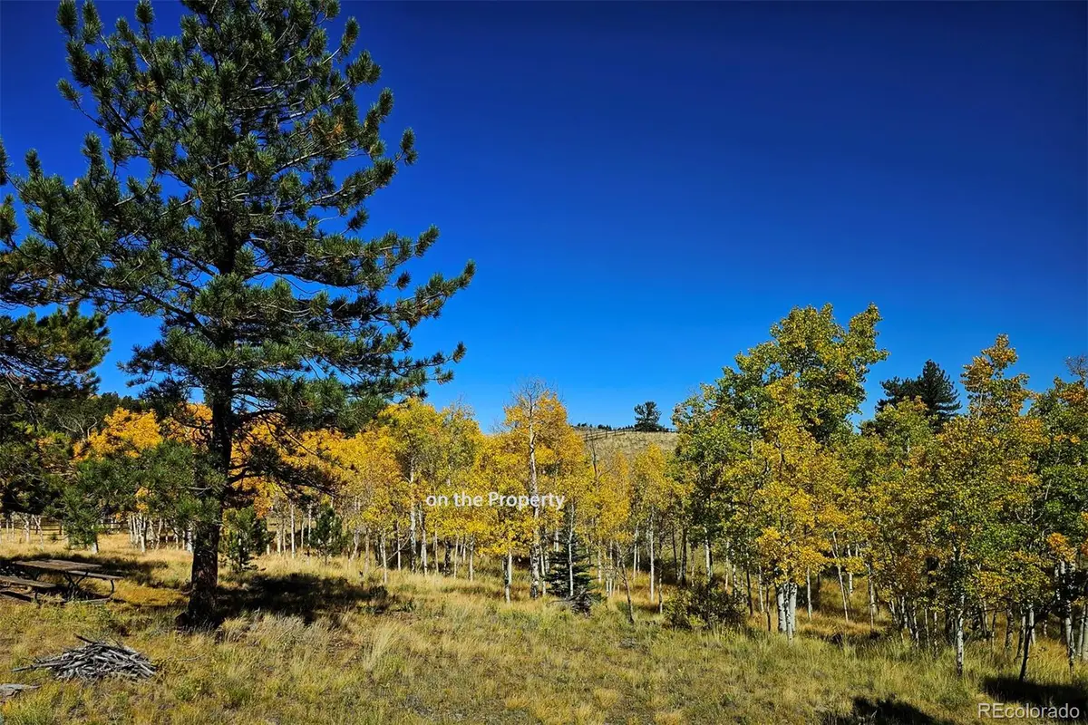51 Singletree Lane, Hartsel, CO 80449 - #1