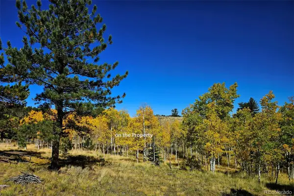 51 Singletree Lane, Hartsel, CO 80449