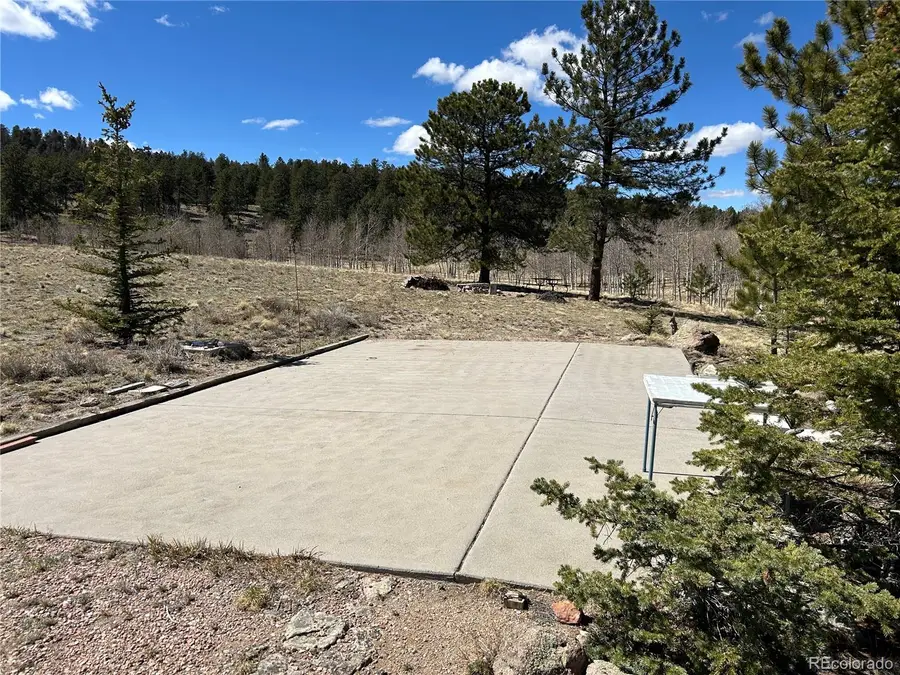 51 Singletree Lane, Hartsel, CO 80449 - #2