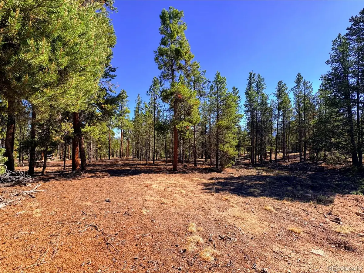 399 Lodgepole Drive, Leadville, CO 80461 - #1