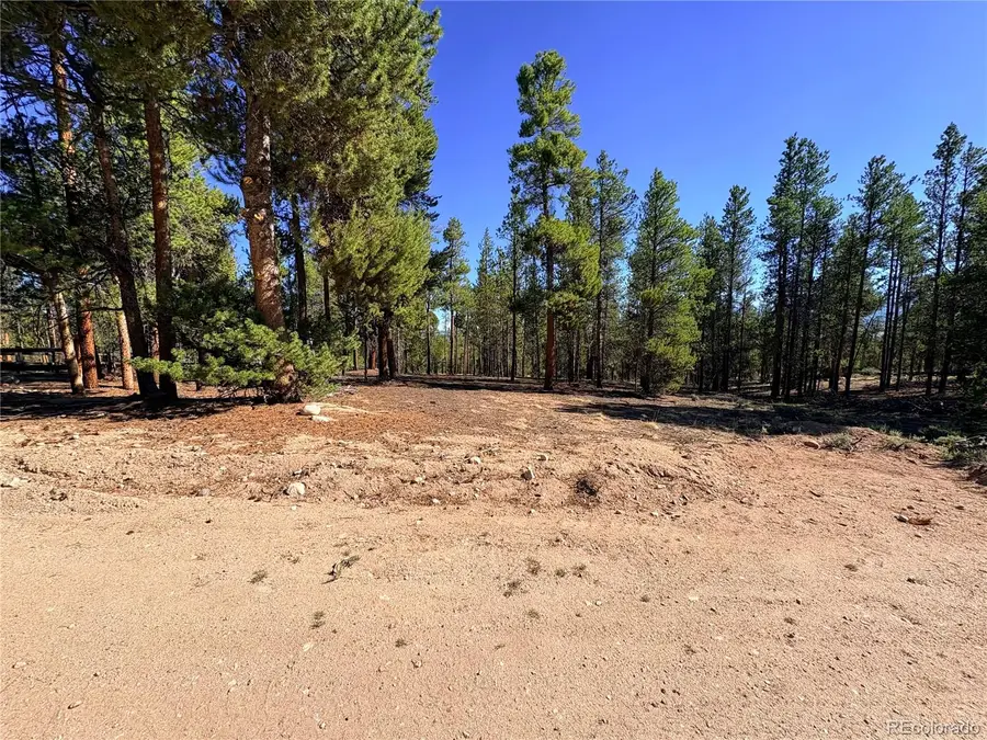399 Lodgepole Drive, Leadville, CO 80461 - #2
