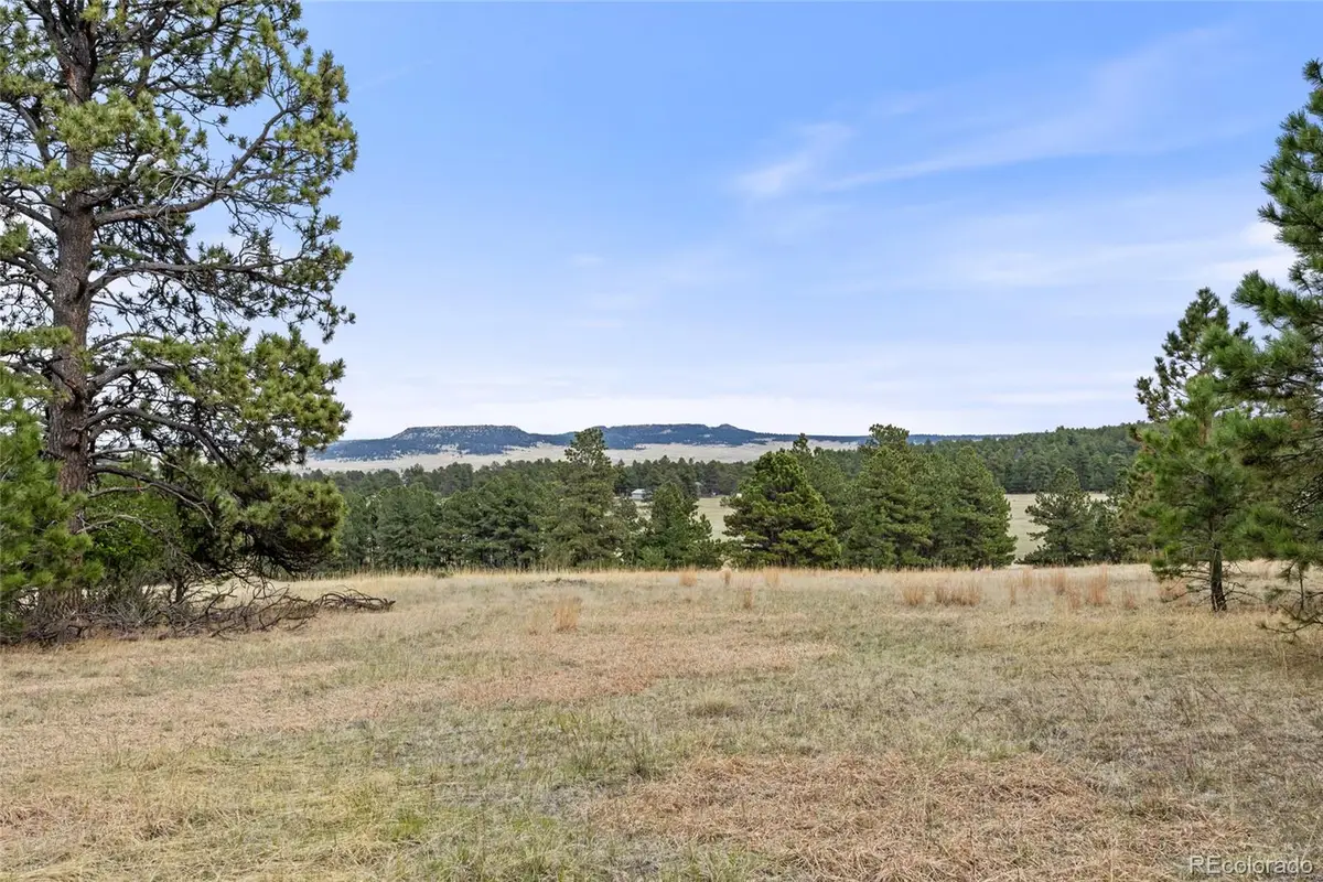 8653 N Teacup Road, Elbert, CO 80106 - #1