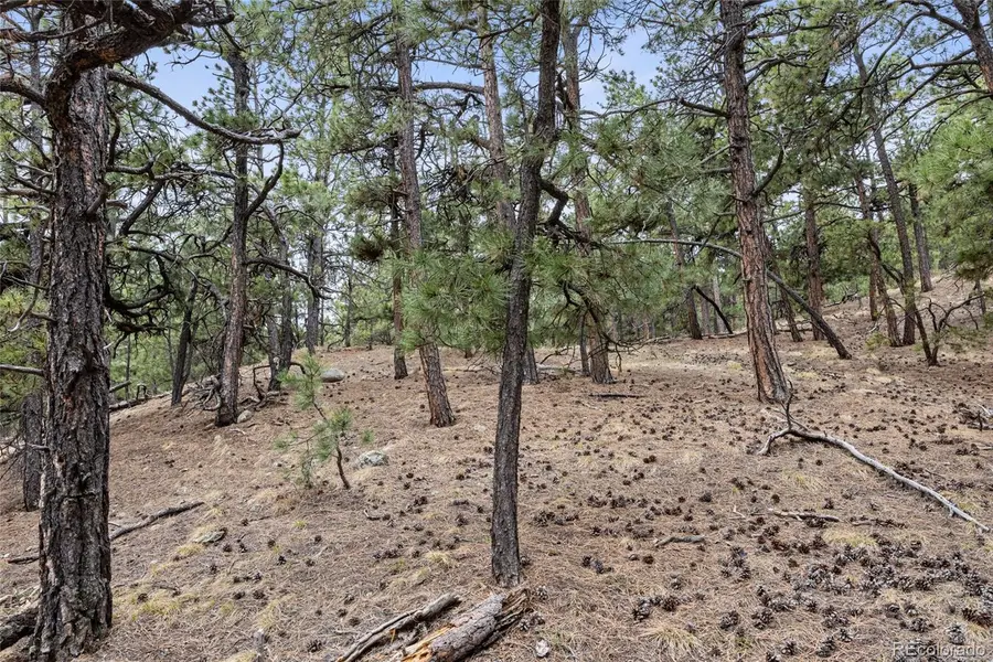 8653 N Teacup Road, Elbert, CO 80106 - #2