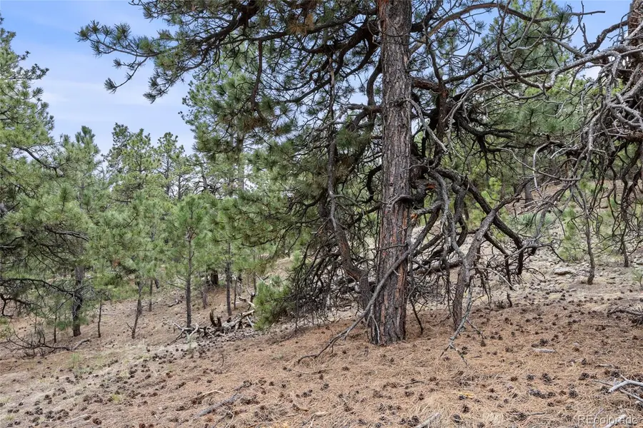 8653 N Teacup Road, Elbert, CO 80106 - #3