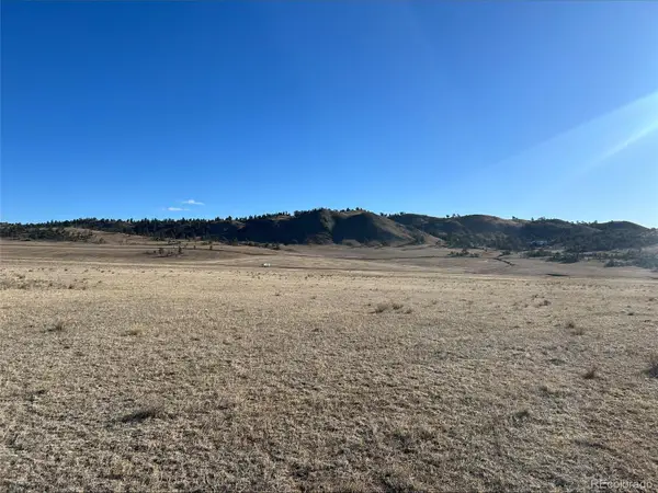 4558 Clear Creek Road, Hartsel, CO 80449